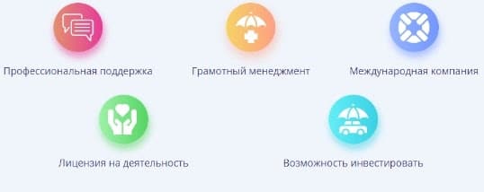 Alliance: отзывы, обзор предложений. Что собой представляет инвестиционная площадка?
