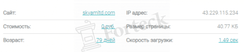 Skyam Invest Limited – обзор нового брокера, по которому плачут черные списки