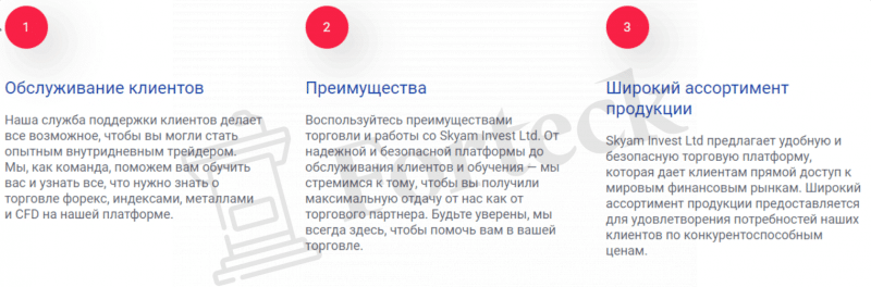 Skyam Invest Limited – обзор нового брокера, по которому плачут черные списки