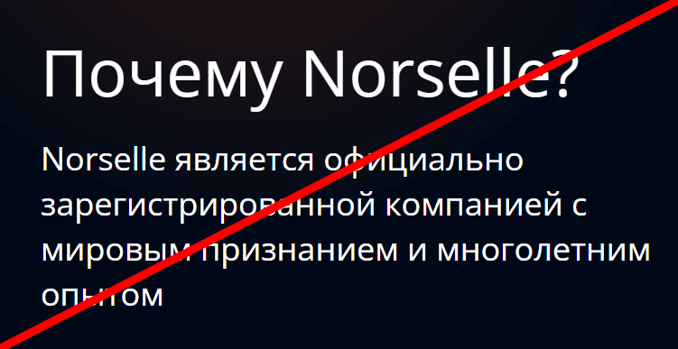 Norselle реальные отзывы о проекте