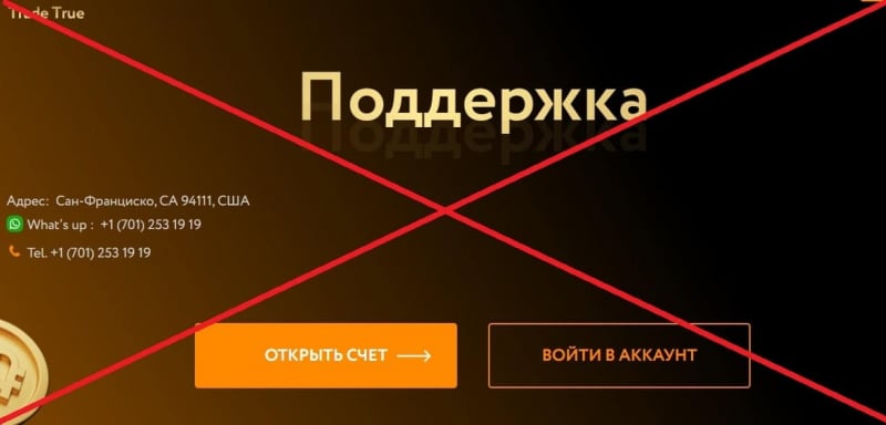 Реальные отзывы о Trade True — брокер trade-true.com - Seoseed.ru