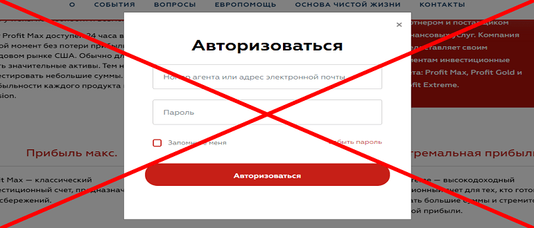 Life Division реальные отзывы о проекте