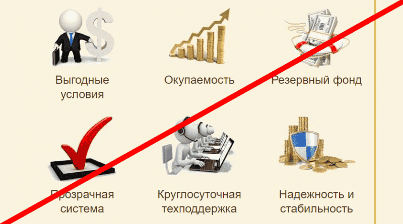 Chickens Farm отзывы &mdash; http chickens farm