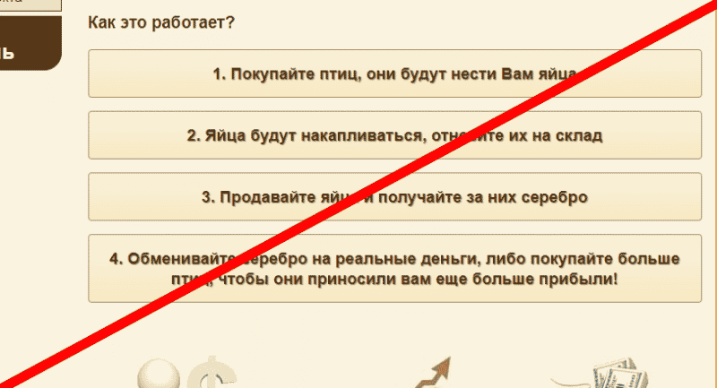 Chickens Farm отзывы &mdash; http chickens farm