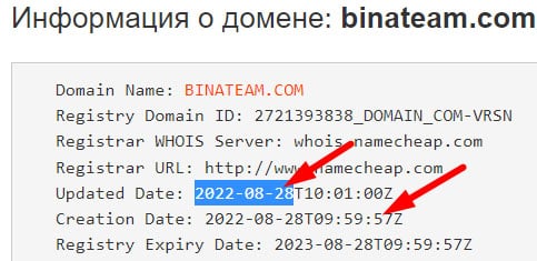 BinaTeam Ltd — банальный ХАЙП-проект. Опасно вкладываться — разведут.