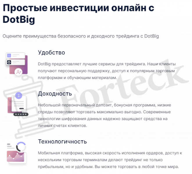 DotBig &ndash; лохотрон без лицензии регулятора