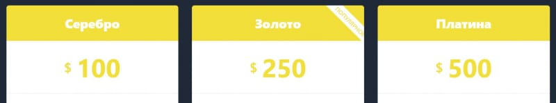 Advanced Courses &mdash; стоит ли платить за курсы если все можно найти бесплатно?