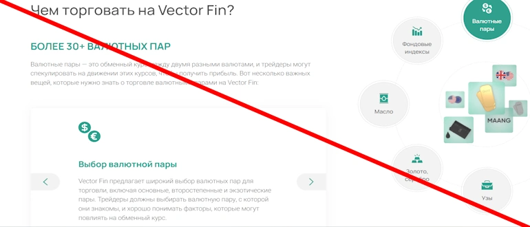 Vector&nbsp;Fin&nbsp;&ndash; обзор и отзывы, лохотрон